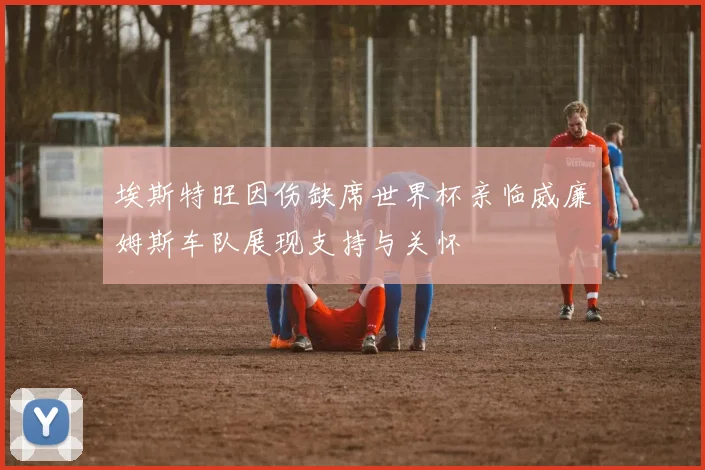 埃斯特旺因伤缺席世界杯亲临威廉姆斯车队展现支持与关怀